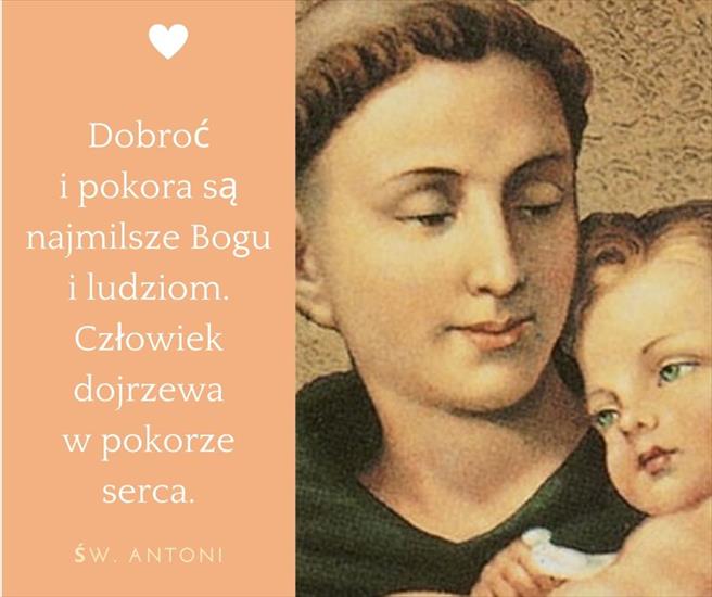 Św. Antoni Padewski - Dobroć i pokora.jpg