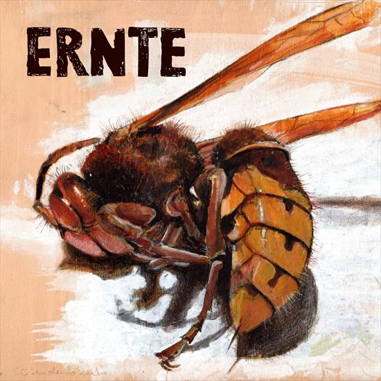 Ernte - Ernte - 2024 - folder.jpg