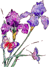 Kwiaty Chomisia52 1 - flower0261.gif